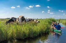 Guided Canoe Adventure with Picnic Lunch in Waterland from Amsterdam