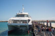 Full-Day Private Robben Island, Penguins & Cape of Good Hope Tour