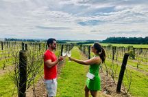 Discover why we Love the Colonia Wine Experience 