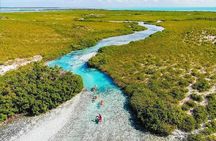 Mangrove Cay Tour