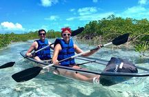Mangrove Cay Tour