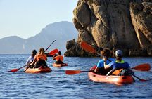 Kayak tour with aperitif and dolphins