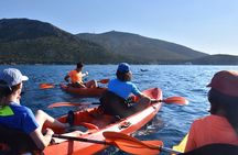 Kayak tour with aperitif and dolphins