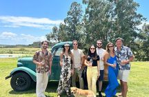 Wine Lovers - Punta Wine Experience