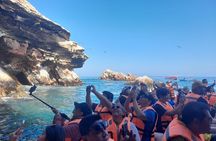 Ballestas Islands and Paracas Reserve Tour from Puerto San Martin