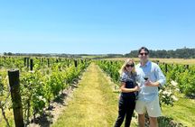 Treat yourself to 1 or 2 Wineries with The Wine Experience 
