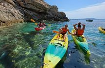Guided kayak excursion in creeks