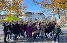 Private Walking Grand Tour of Copenhagen