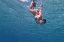 Marsa Mubarak Snorkeling with Dugongs & Turtles From Marsa Alam 