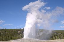 Yellowstone National Park 2 Day Tour Upper and Lower Loop