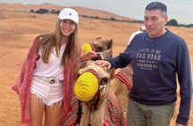 Dubai VIP Desert Safari & Sunset , Camel Ride, Premium dinner