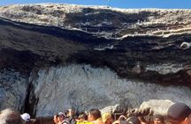 Ballestas Islands Tour from Puerto San Martin Cruise