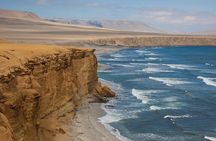 Tour to the Paracas National Reserve for Cruise Travelers