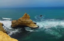 Tour to the Paracas National Reserve for Cruise Travelers