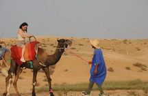 Camel Safari and Dinner Show in the Agafay Desert