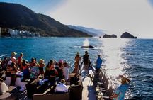  Sunsets and Whales Mega Yachts ALL INCLUSIVE: Puerto Vallarta