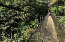 2-Hour Private Místico Hanging Bridges Naturalist Walk