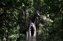 2-Hour Private Místico Hanging Bridges Naturalist Walk