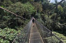 2-Hour Private Místico Hanging Bridges Naturalist Walk