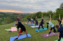 Yoga in Nature in Langhe Roero and Monferrato