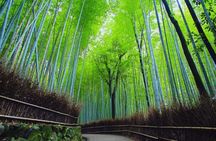 Katsuo-ji Temple, Minoh Waterfall, Arashiyama Forest, & Nara Park