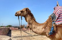 Essaouira Private Day Trip from Marrakech