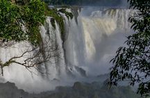 Iguassu Falls Brazilian Side & Bird Park & Macuco - Exclusive Gran Meliá Iguazú