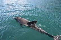  Lim Bay Outrigger Canoe Tour