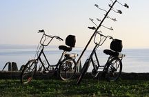 Split Electric Bicycle Tour