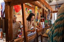  Magical Todos Santos Tour, Camel ranch, Lunch & Tequila