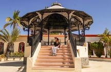  Magical Todos Santos Tour, Camel ranch, Lunch & Tequila
