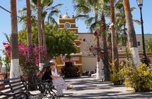  Magical Todos Santos Tour, Camel ranch, Lunch & Tequila