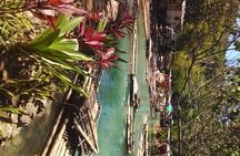 Private River Bamboo Rafting Activity in Ocho Rios Jamaica 