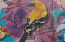 The Curacao's Colorful History Walking Tour