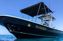 Private Trip Espiritu Santo Island