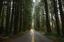 Twilight Forks Washington Tour