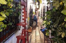 Marbella Tapas Tour