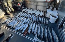 Private Ketchikan Halibut and Salmon Fishing Charter