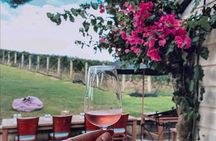 5 or 7 hour Far End of Waiheke Scenic Wine Tour in Electric Vans