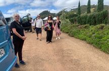 5 or 7 hour Far End of Waiheke Scenic Wine Tour in Electric Vans
