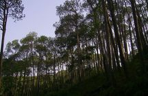 Nagarkot Sunrise Tour with Sallaghari: Changunarayan Hiking