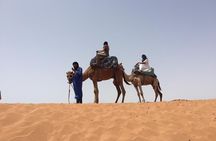 One day tour to small Sahara and massa