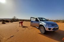 One day tour to small Sahara and massa