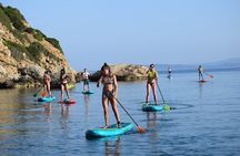 Stand Up Paddle With Dolphins, aperitif and pictures