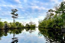 Kitty Hawk Maritime Forrest and Marsh Tour