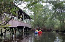 Kitty Hawk Maritime Forrest and Marsh Tour