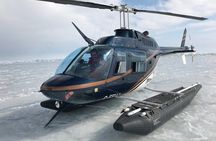 Private Tour: Niagara Falls Helicopter Flight