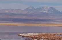 Tour to Laguna Cejar, Ojos del Salar and Laguna Tebinquiche