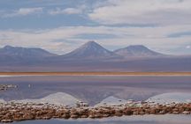 Tour to Laguna Cejar, Ojos del Salar and Laguna Tebinquiche