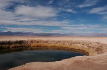 Tour to Laguna Cejar, Ojos del Salar and Laguna Tebinquiche
